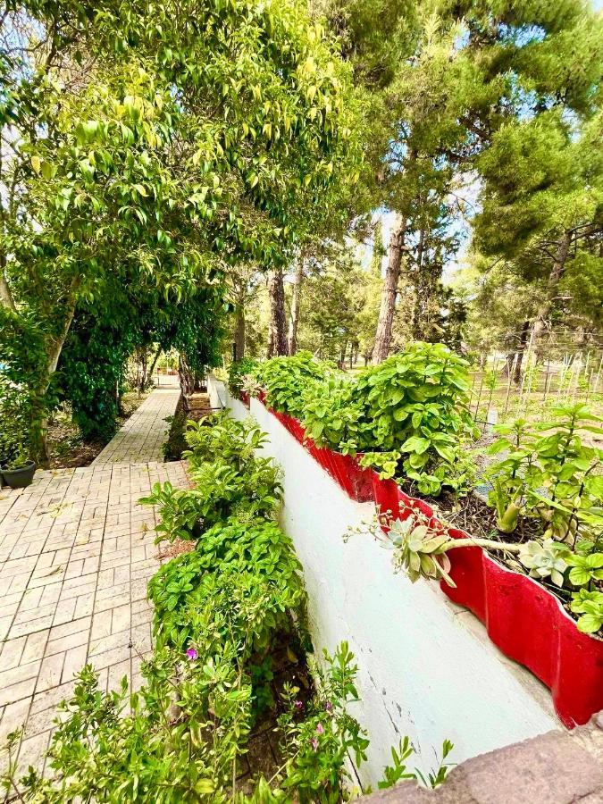 Villavictoria Marias View Pool Apartment Peraía المظهر الخارجي الصورة